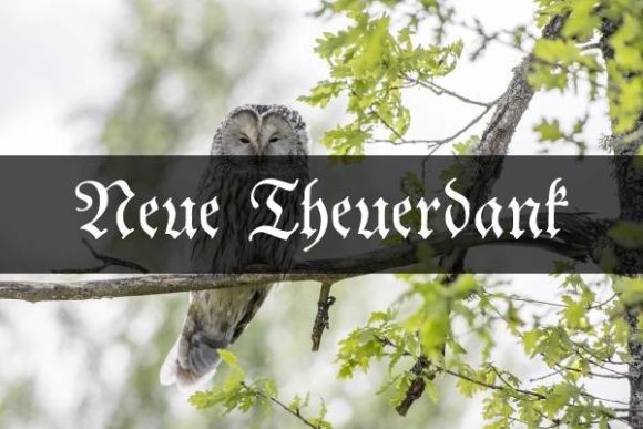 Neue Theuerdank: A Bold Typeface for Standout Web Design