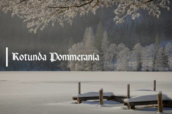Rotunda Pommerania: The Bold Typeface That Transformed My Brand